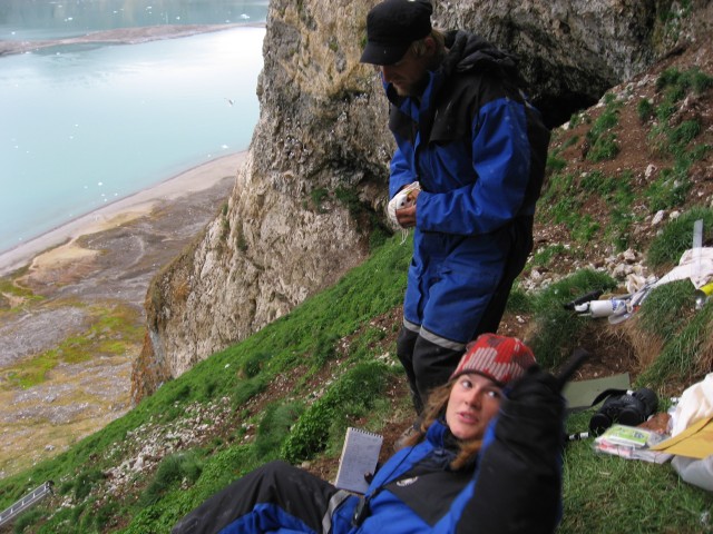 Janik and Inez working at the kittiwake colony on top of the slope